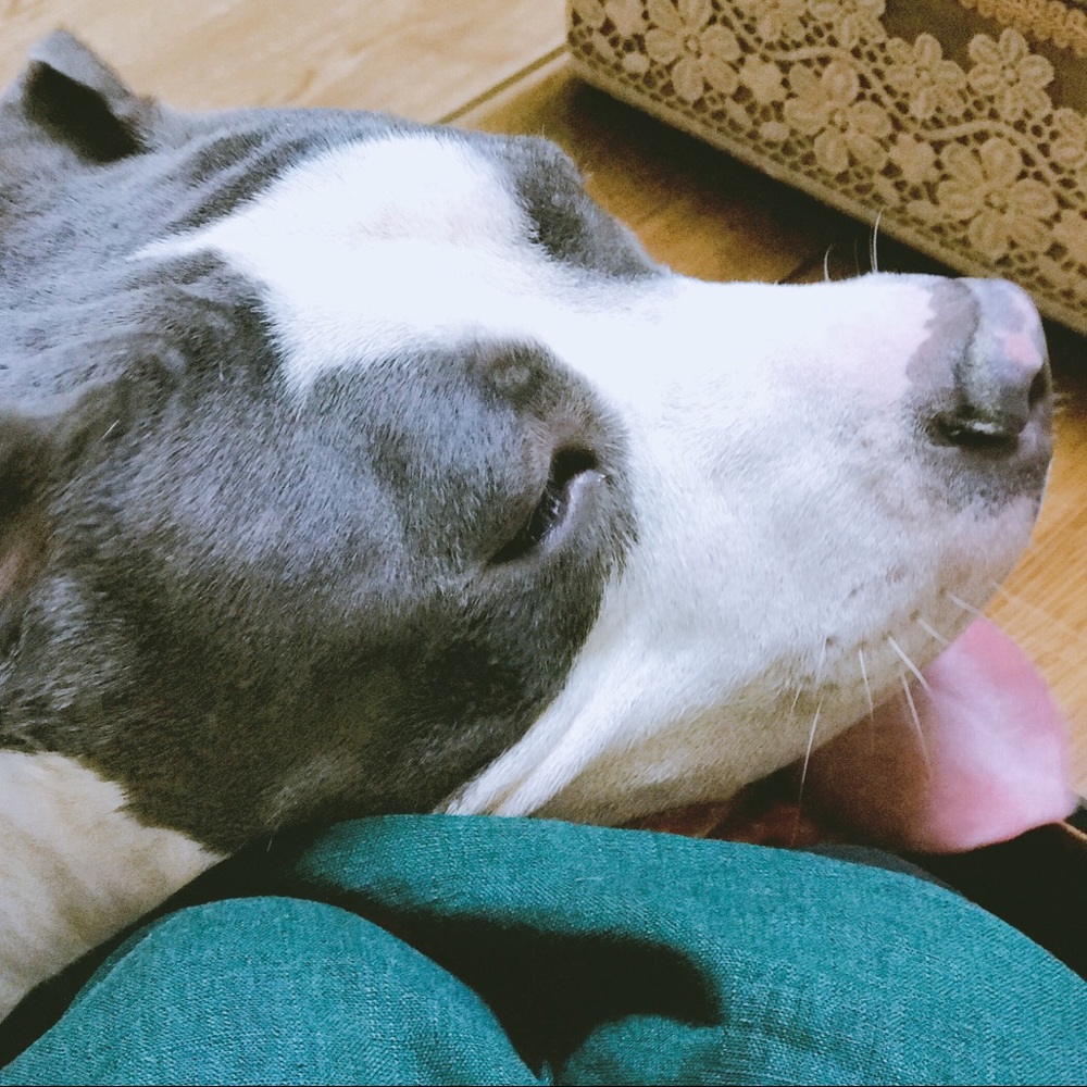 Meet your Posher, Elsie